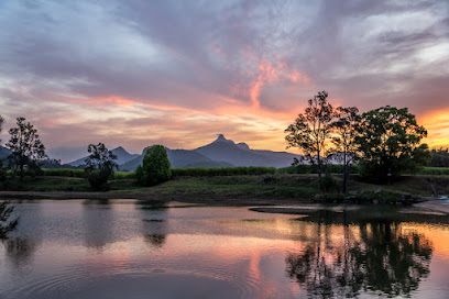 Ray White Rural Murwillumbah - Opiniones