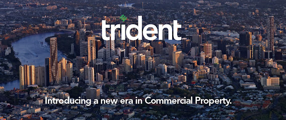 Trident Property Advisory - Opiniones